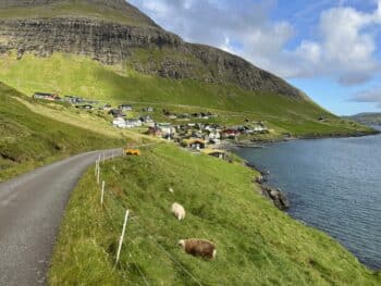 Îles Féroé Bour