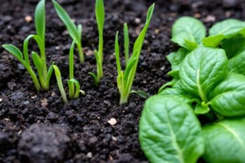 M8jctaxfzi 1764064272