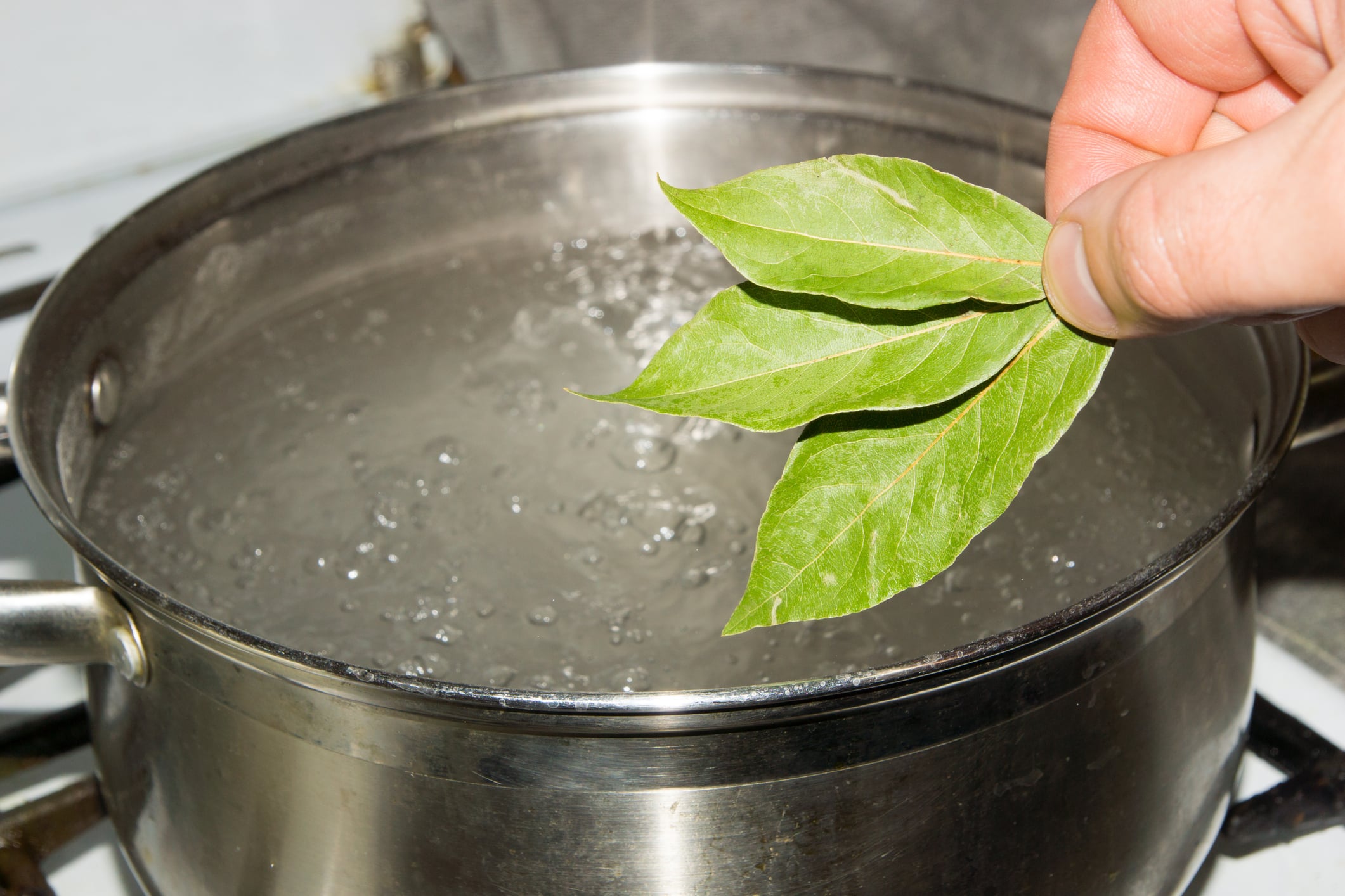 Le rituel de l'eau bouillante : comment les feuilles de laurier transforment l'air ambiant