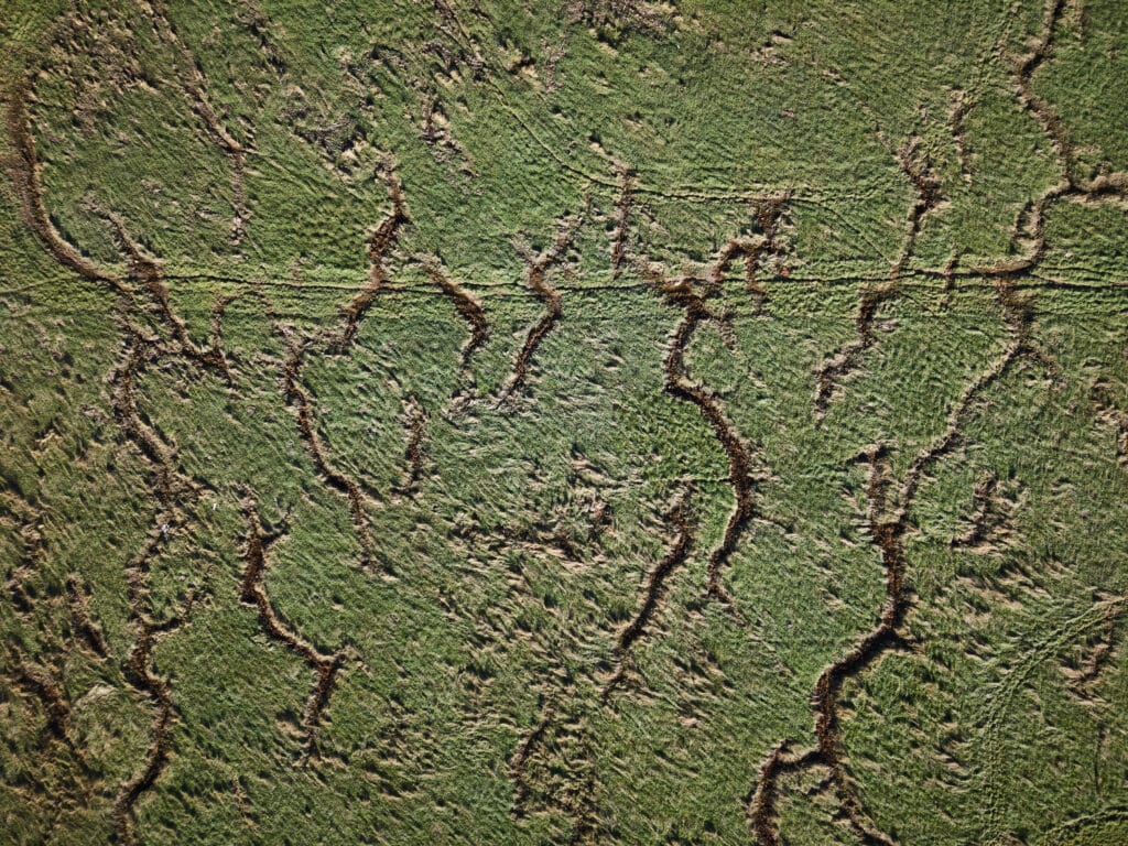 Dji 20251116112918 0026 D