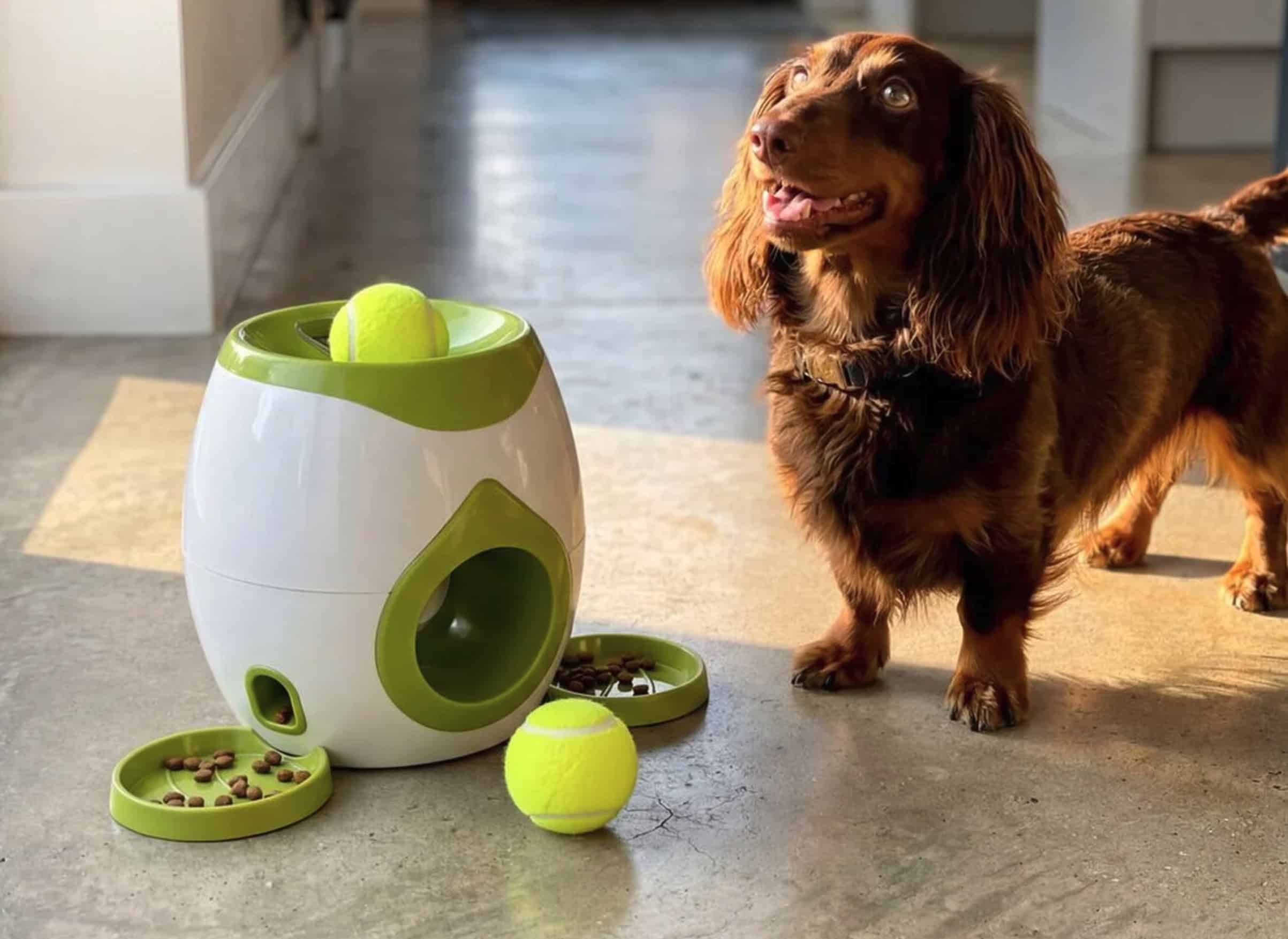 Mon Chien Ne Me Suit Plus Partout Dans La Maison Depuis Que Jai Trouve Cet Objet Gifi A Moins De 10 E Featured