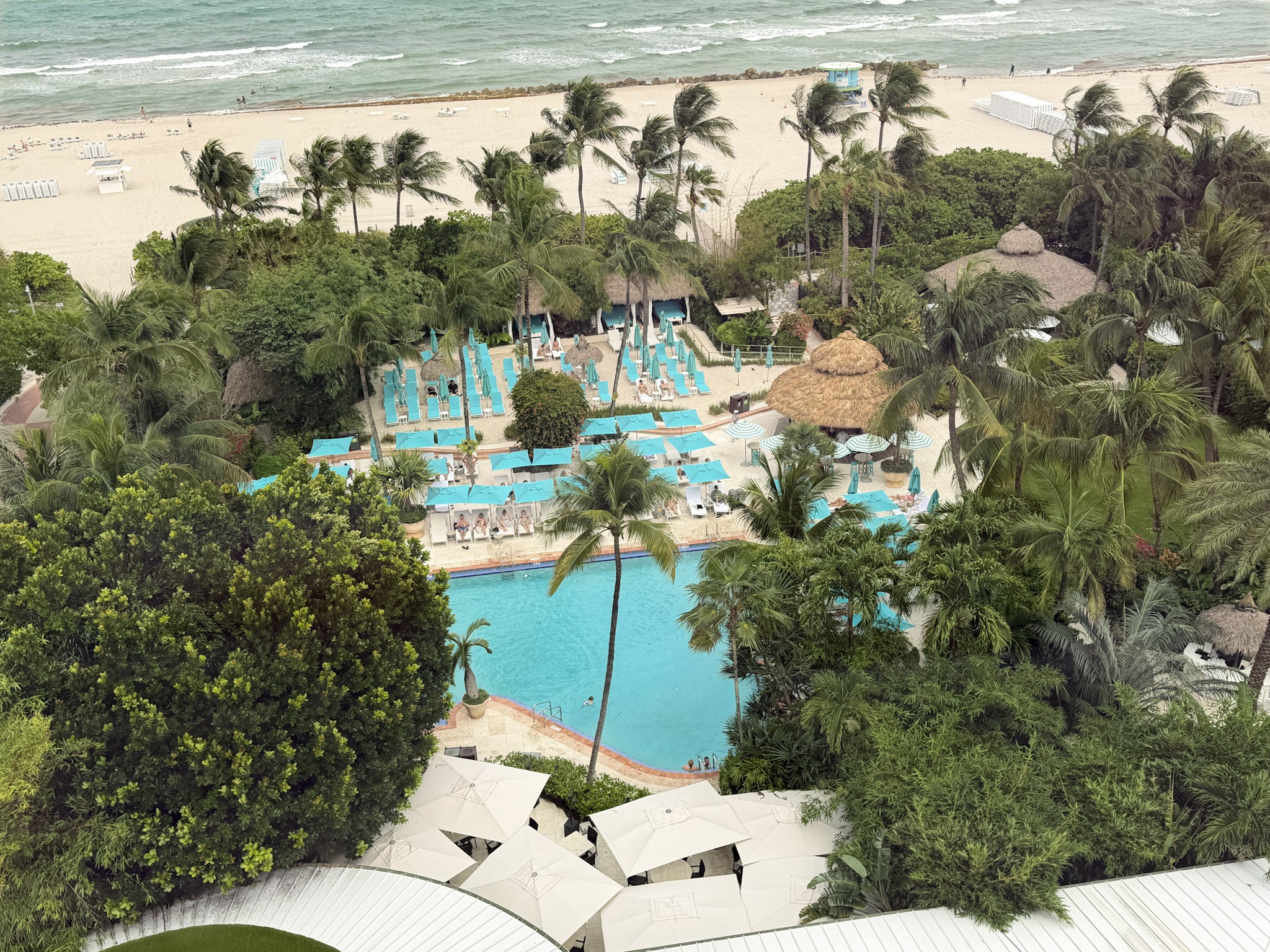 17 Miami 9029