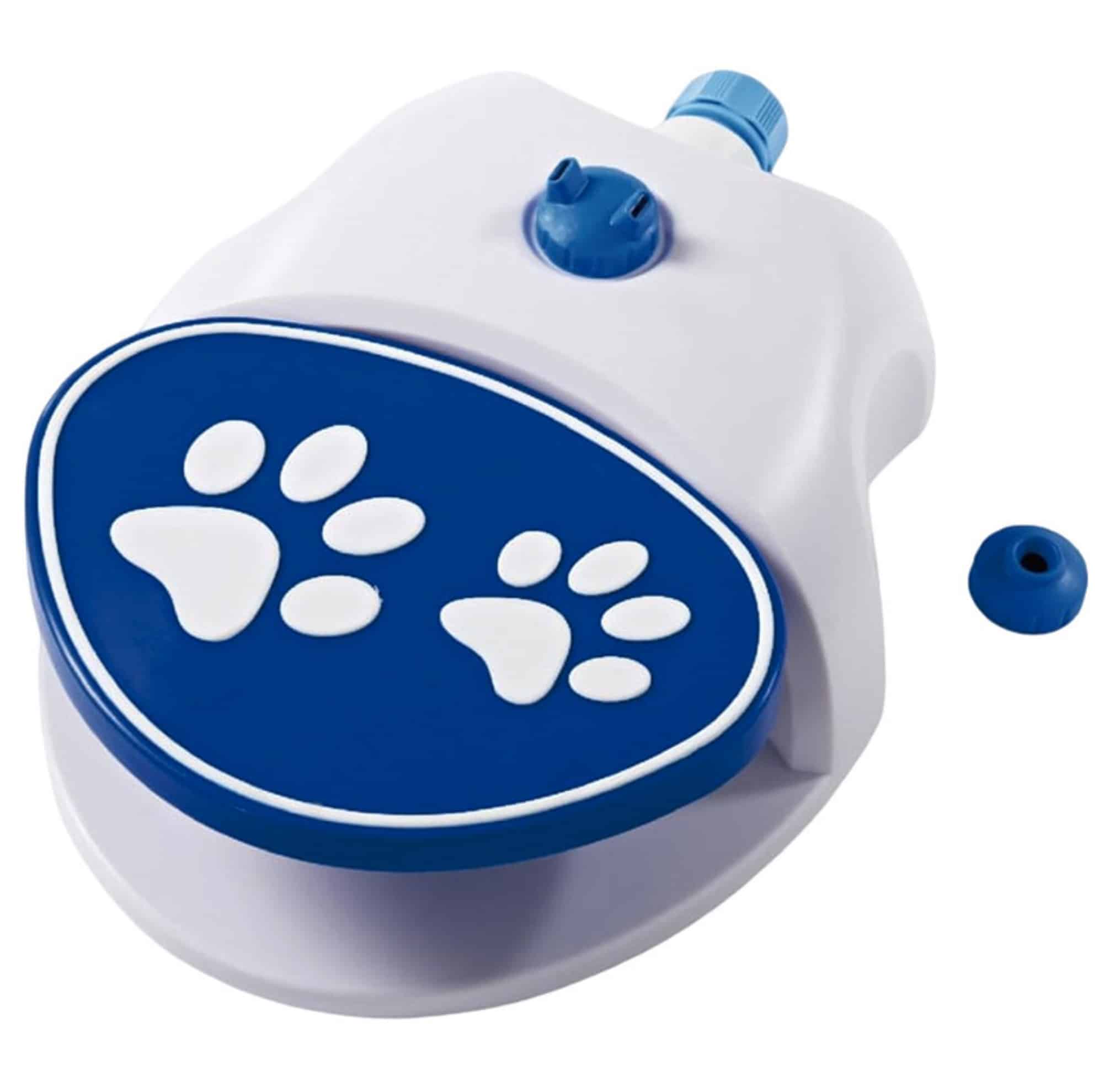 Une fontaine à moins de 5€ qui va faire fondre le cœur de votre chien