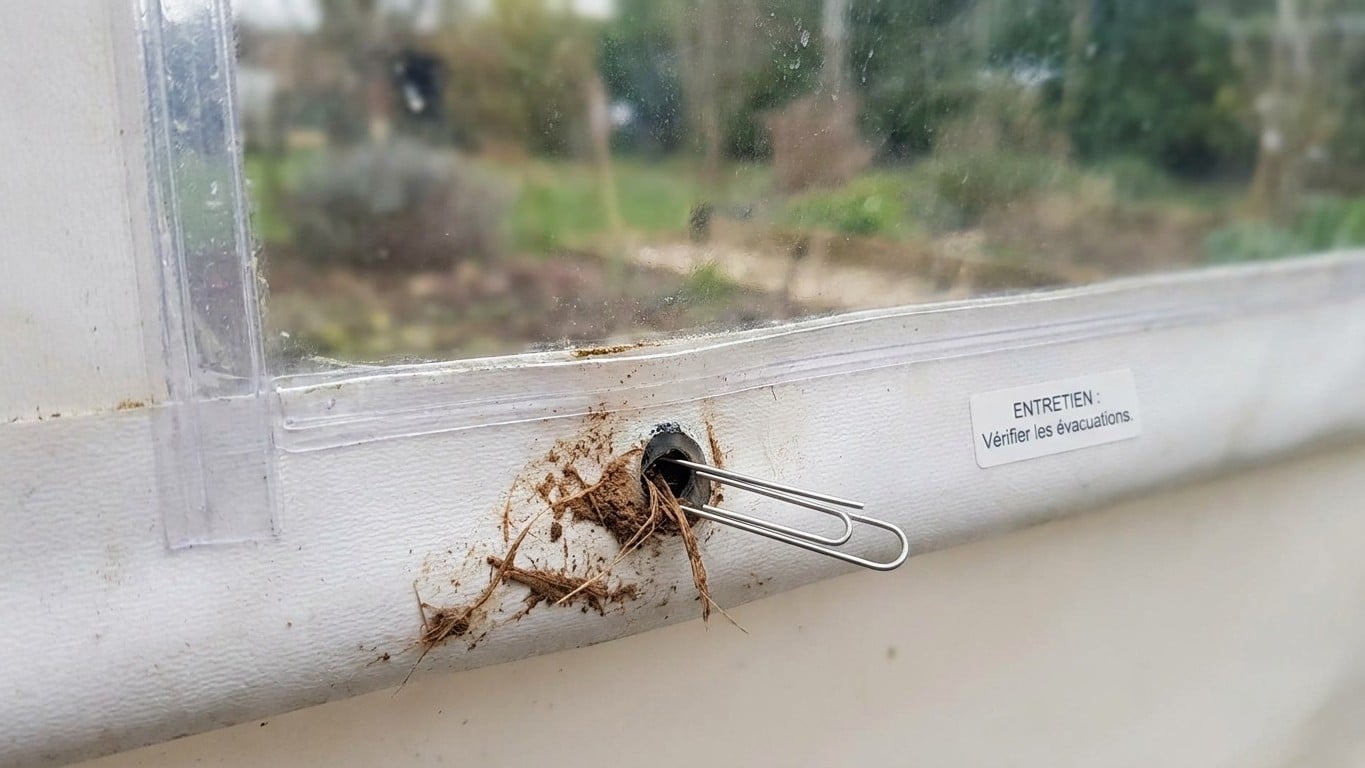J'ai glissé un trombone déplié sous le dormant de ma fenêtre en PVC : ce qui en est sorti expliquait les traces d'eau du d...