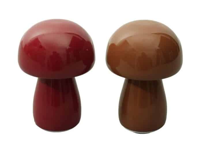 Le champignon qui illumine vos soirées d'automne pour trois fois rien