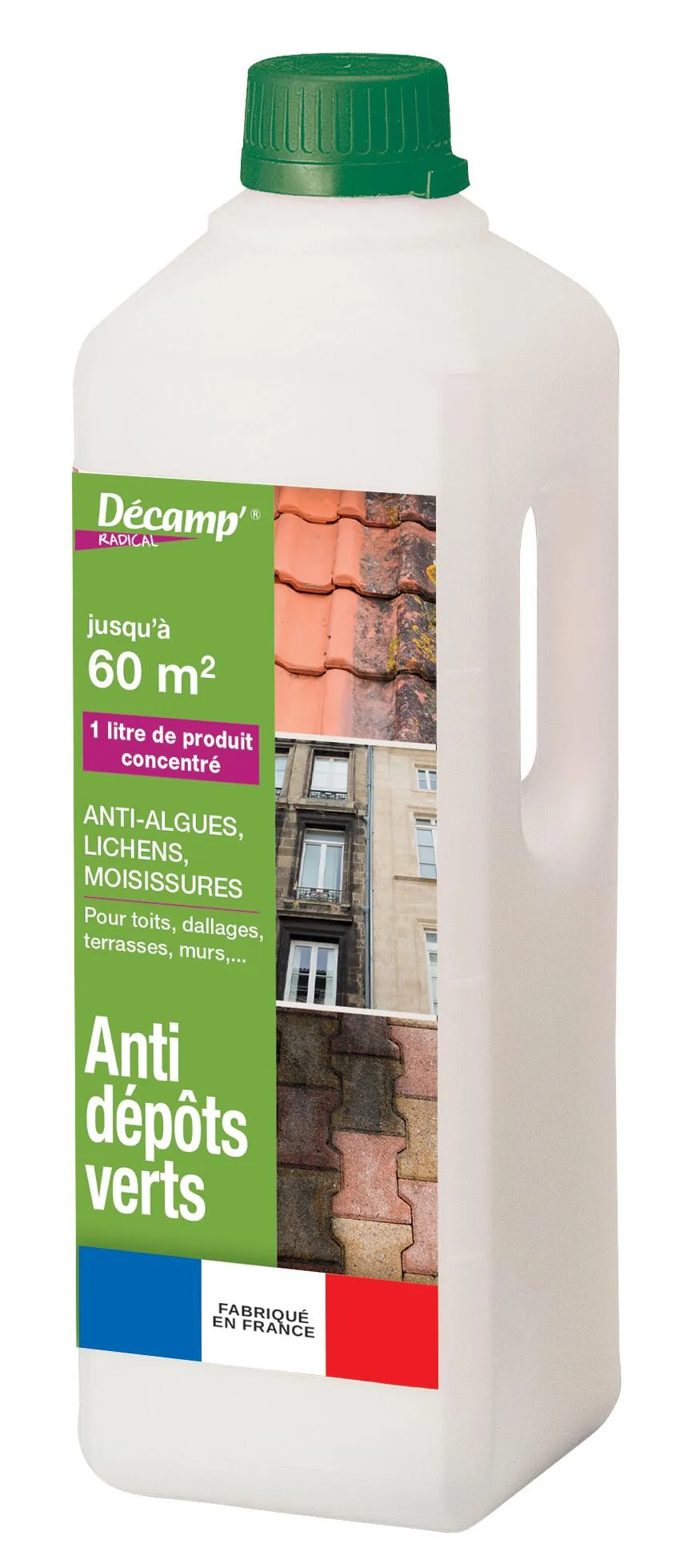 Le cauchemar du toit envahi par les mousses et lichens