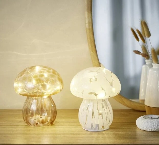 Le champignon lumineux qui envahit les intérieurs cet automne