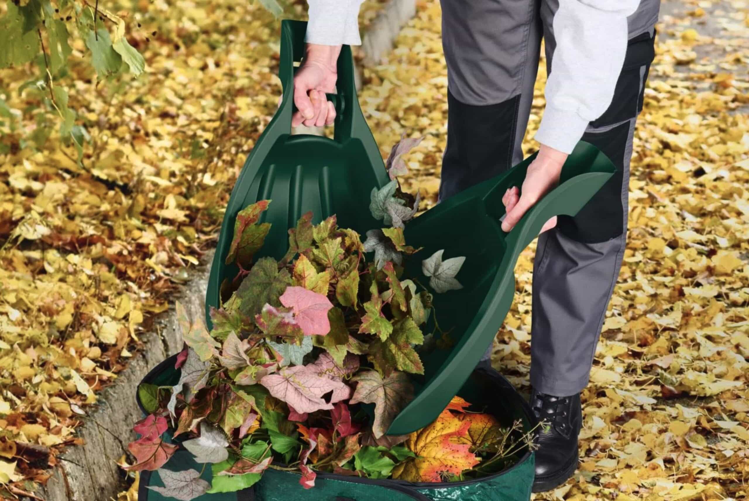 4,99 euros chez Lidl : le petit prix qui a changé ma routine d'automne