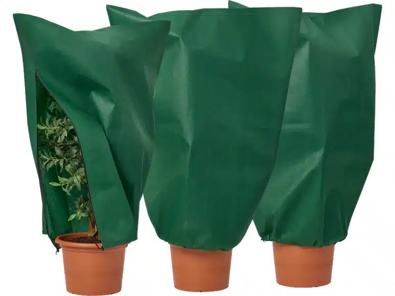 Pourquoi le plastique est un mauvais réflexe pour protéger les plantes du gel