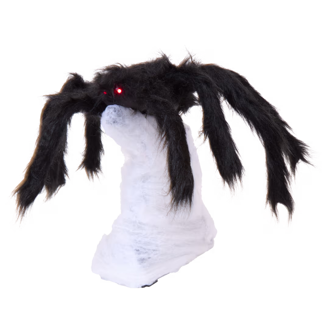 Présentation de l'araignée sauteuse vendue par Action
