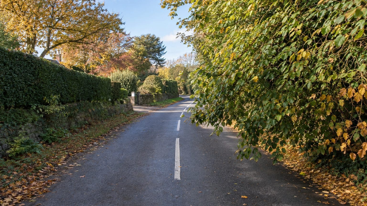 « Je pensais que les branches de ma haie au-dessus de la petite route ne gênaient personne » : à la mairie, on m'a expliqu...