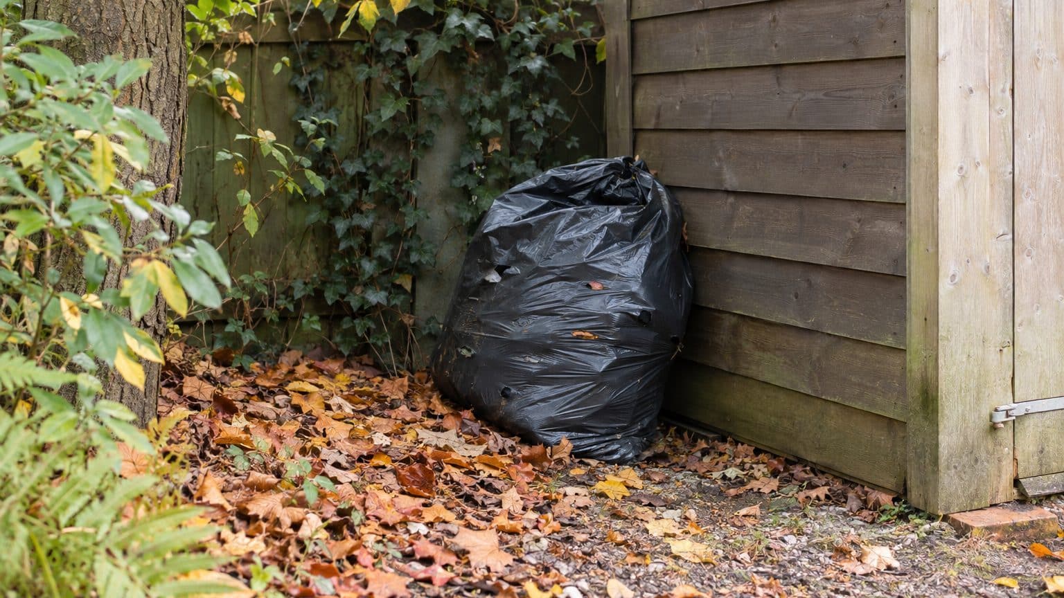 Mon voisin enferme ses feuilles mortes dans un sac poubelle percé derrière l'abri, et ce n'est pas pour éviter la déchetterie