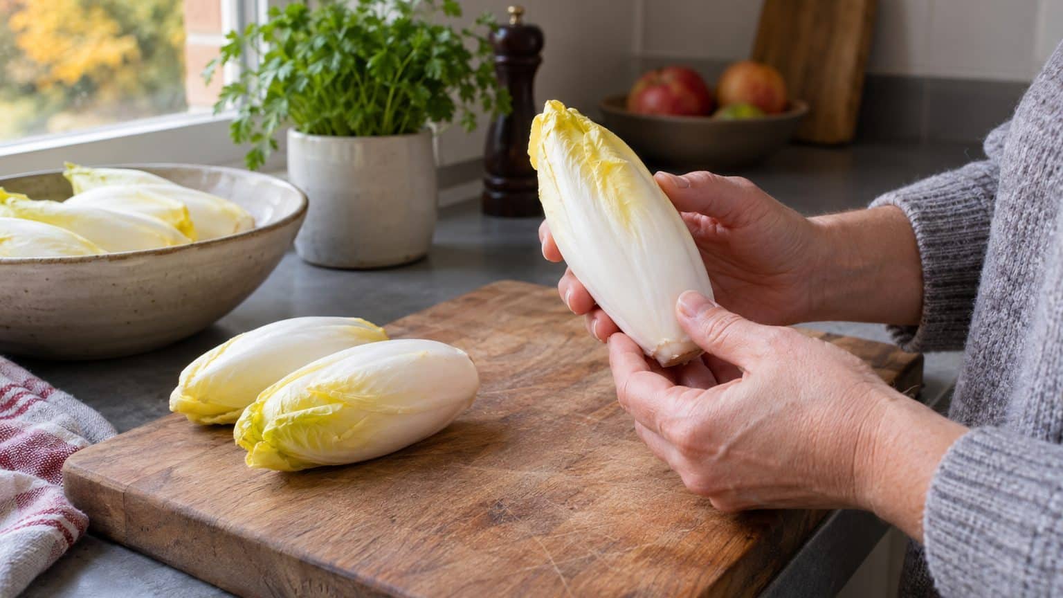 On s'obstine tous à creuser le pied des endives pour chasser l'amertume, alors que tout se joue bien avant d'arriver dans ...